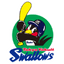 Yakult Swallows